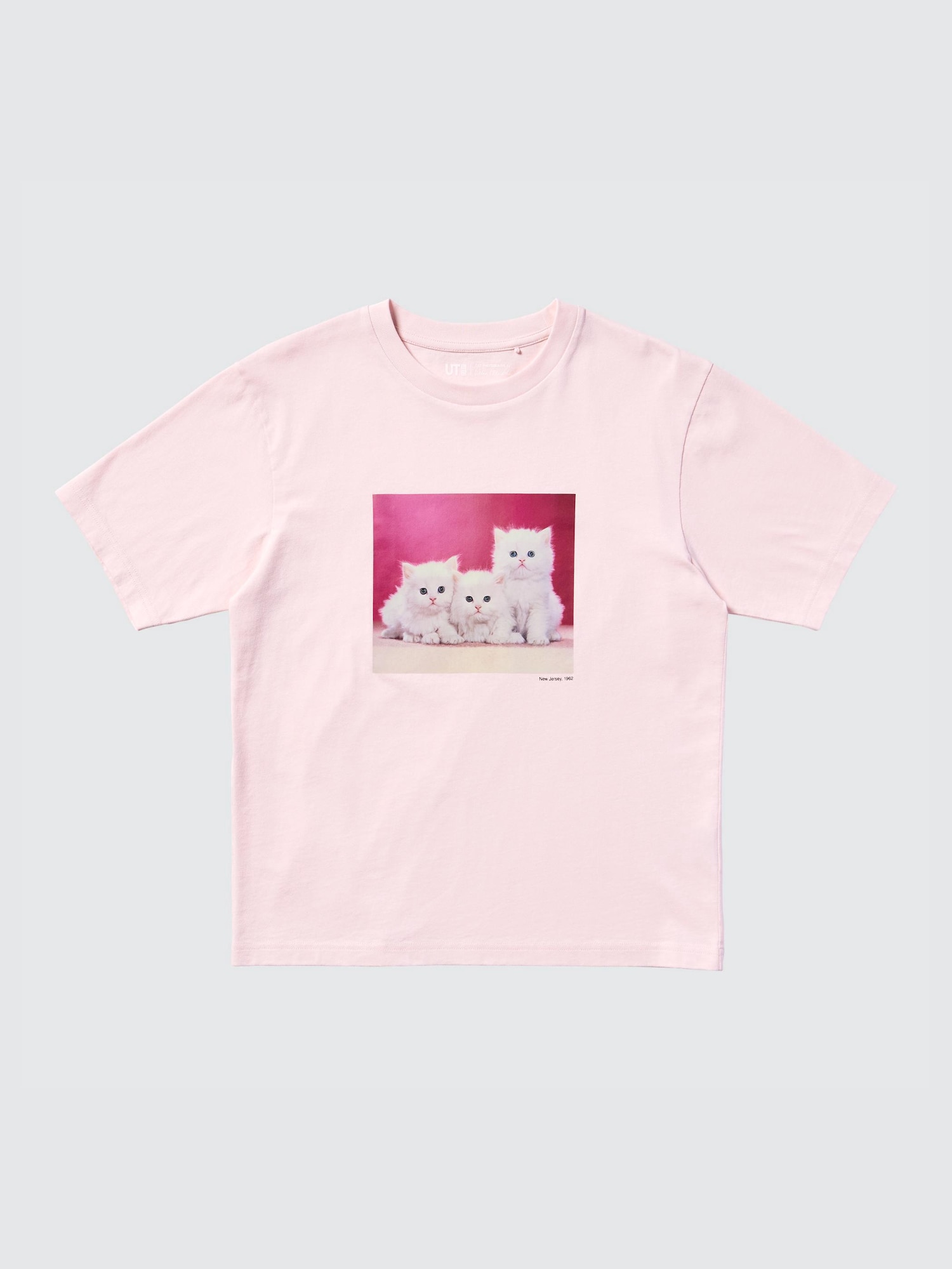 UT Фото с котом / свободный крой — UNIQLO