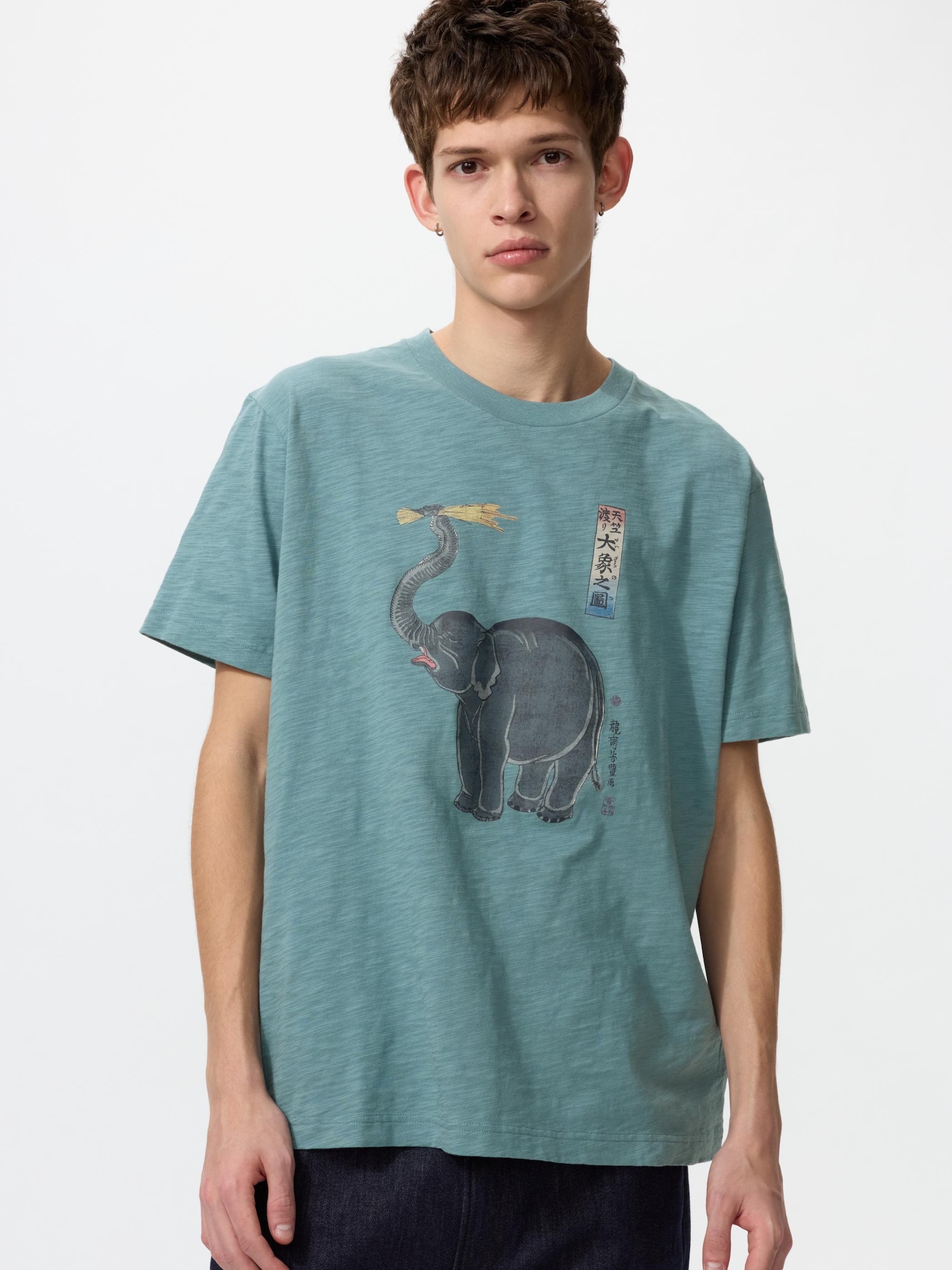 UT Животные укиё-э — UNIQLO